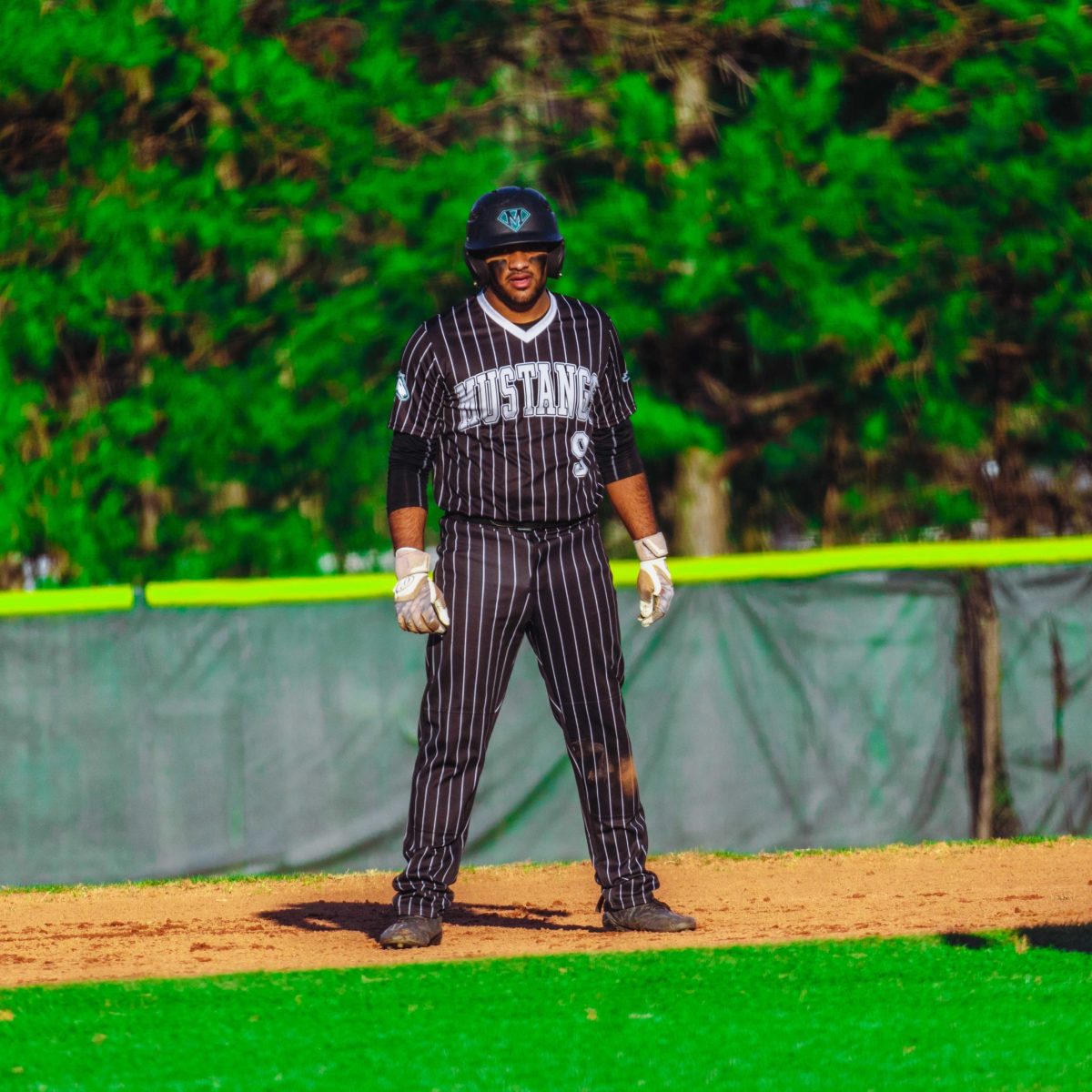 Willie_Prince_Kennesaw_Mountain_baseball.22